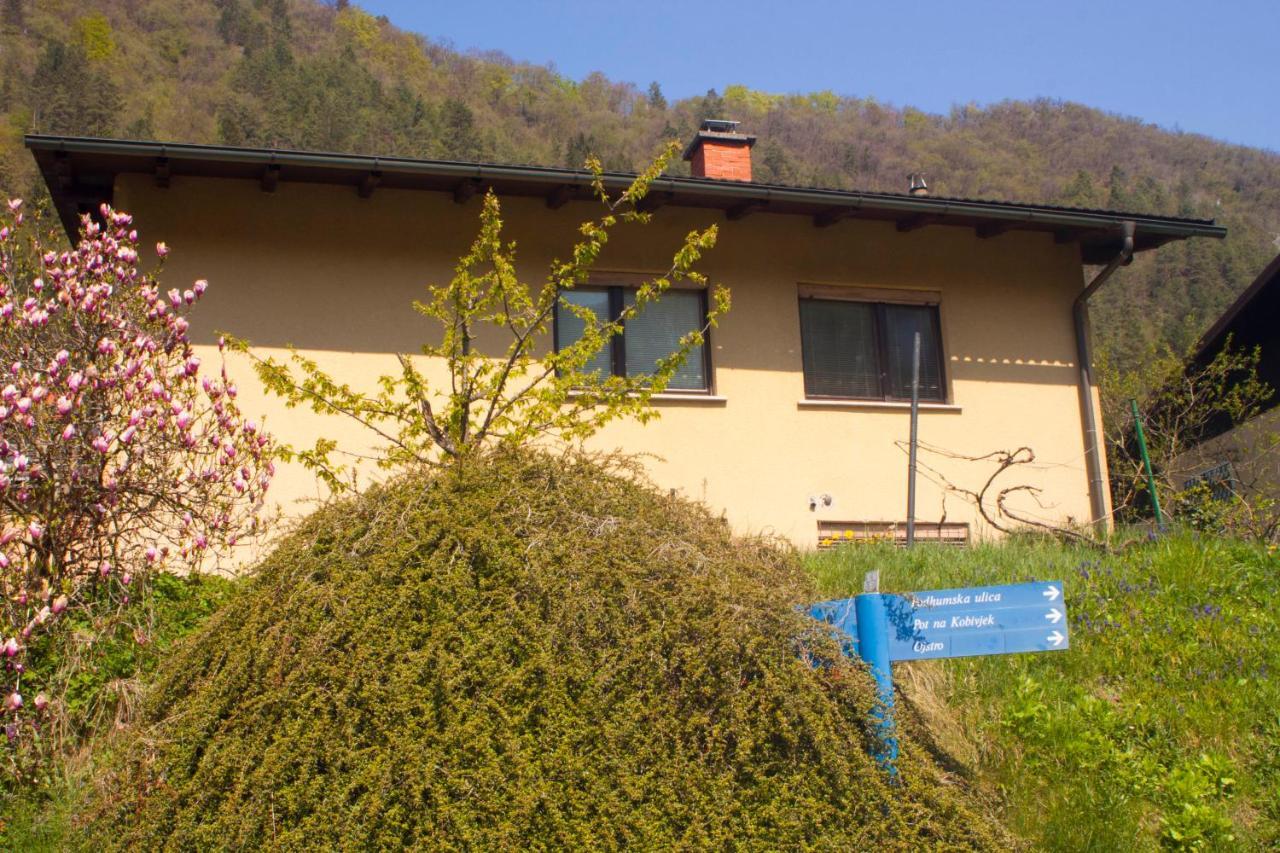 Na Kopitarjevi Hotel Lasko Exterior photo